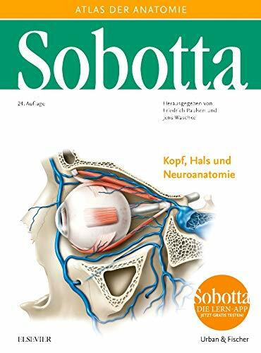 Sobotta, Atlas der Anatomie Band 3: Kopf, Hals und Neuroanatomie