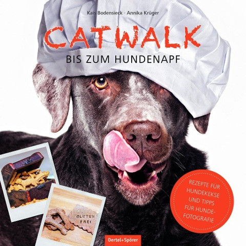 Catwalk bis zum Hundenapf