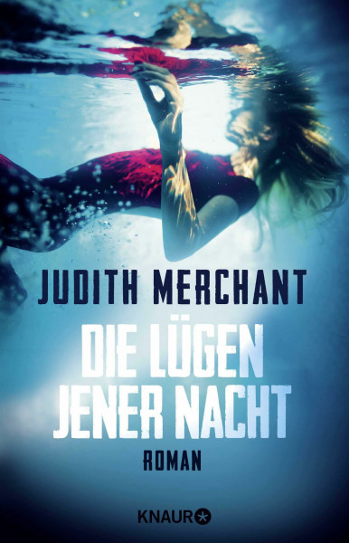 Die Lügen jener Nacht: Roman