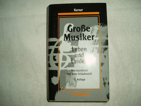 Grosse Musiker: Leben und Leiden