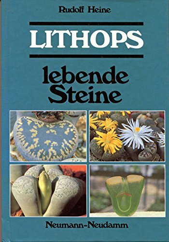 Lithops