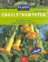 Engelstrompeten