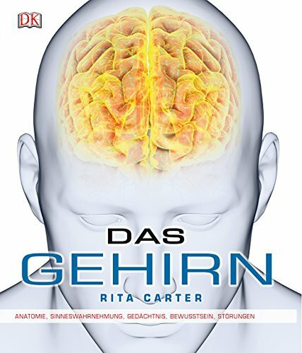 Das Gehirn: Anatomie, Sinneswahrnehmung, Gedächtnis, Bewusstsein, Störungen