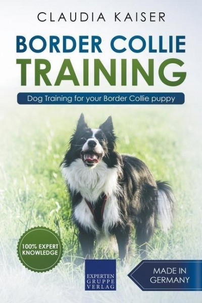 Border Collie Training - Dog Training for your Border Collie puppy