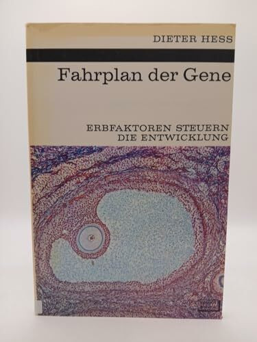 Fahrplan der Gene. Erbfaktoren steuern die Entwicklung