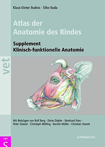 Klinische Anatomie des Rindes: Supplement zur klinisch-funktionellen Anatomie: Supplement klinisch-funktionelle Anatomie
