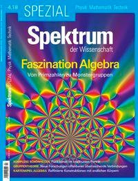 Spektrum Spezial - Faszination Algebra