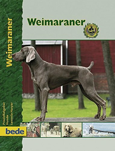 Weimaraner, Praxisratgeber