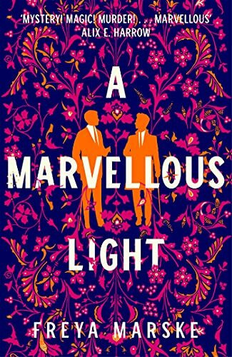A Marvellous Light: A dazzling, queer romantic fantasy (The Last Binding, 1)