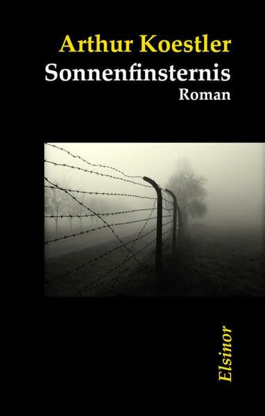 Sonnenfinsternis: Roman