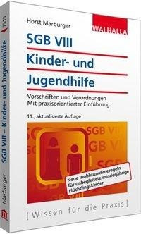 SGB VIII - Kinder- und Jugendhilfe