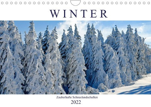 Winter. Zauberhafte Schneelandschaften (Wandkalender 2022 DIN A4 quer)