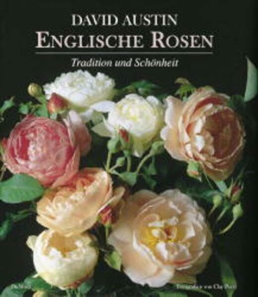 Englische Rosen: Tradition und Schönheit