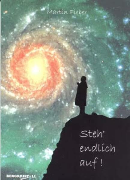 Steh' endlich auf !: Die Geschichte einer spirituellen Abhängigkeit