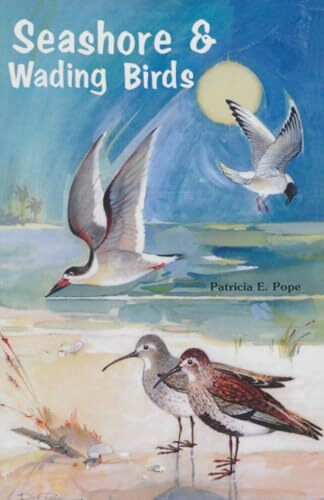 Seashore and Wading Birds of Florida