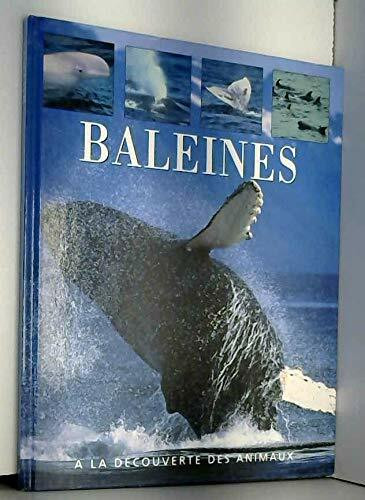 Baleines (a la D�couverte des