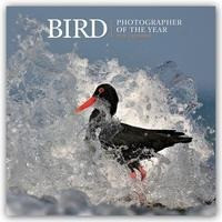 Bird - Vögel - Ausgezeichnete Fotografen des Jahres 2022
