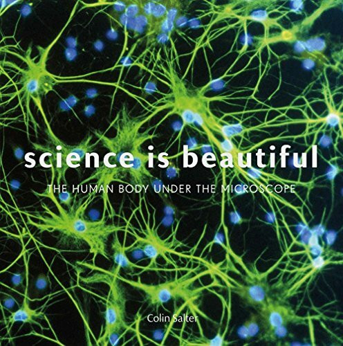 Science is Beautiful: The Human Body: Under the Microscope