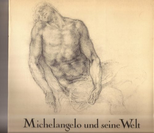 Michelangelo und seine Welt