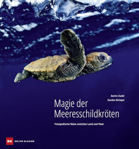 Magie der Meeresschildkröten: Fotografische Reise zwischen Land und Meer