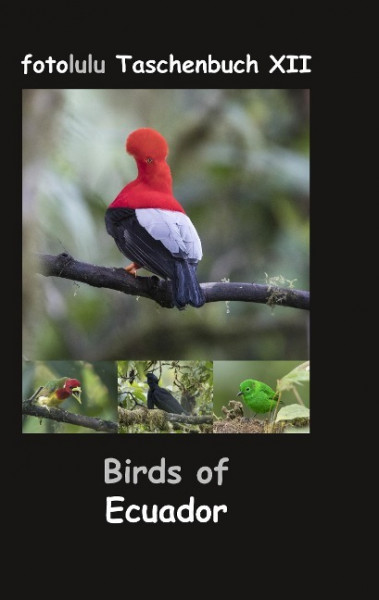 Birds of Ecuador