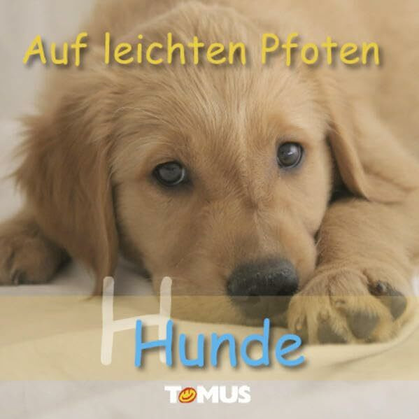 Auf leichten Pfoten: Hunde