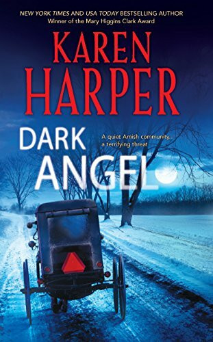 Dark Angel (A Maplecreek Amish Novel, 3)