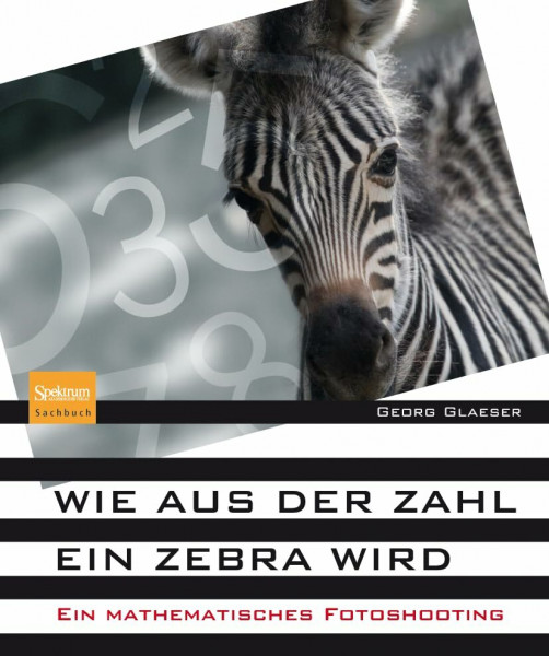 Wie aus der Zahl ein Zebra wird: Ein mathematisches Fotoshooting