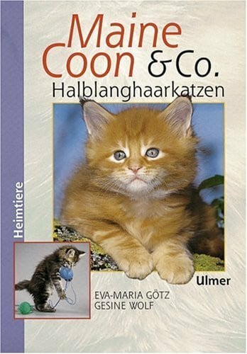 Maine Coon & Co. - Halblanghaarkatzen