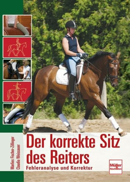 Der korrekte Sitz des Reiters: Fehleranalyse und Korrektur