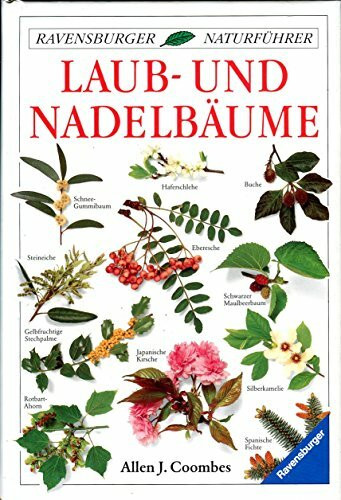 Laub- und Nadelbäume (Ravensburger Naturführer)