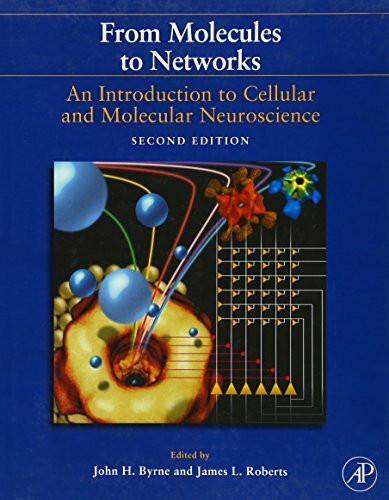 From Molecules to Networks: An Introduction to Cellular and Molecular Neuroscience