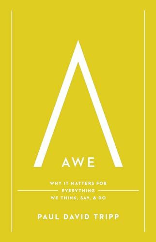 Awe: Why It Matters for Everything We Think, Say, & Do