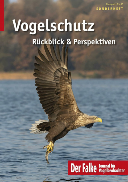 Vogelschutz: Rückblick & Perspektiven
