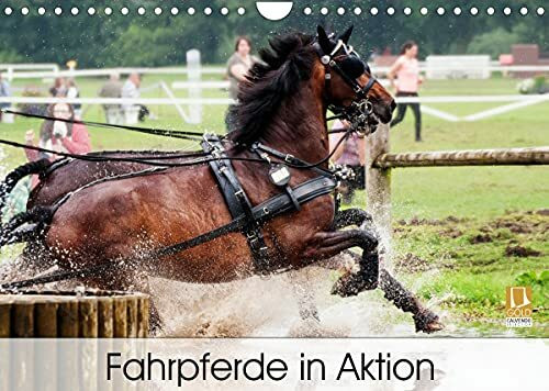 Fahrpferde in Aktion (Wandkalender 2022 DIN A4 quer)
