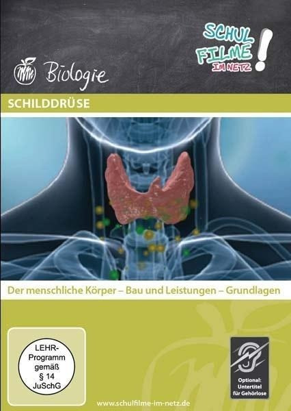 Schilddrüse