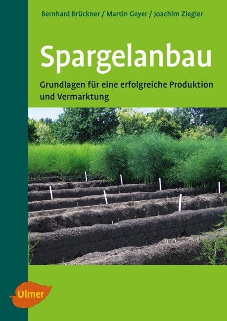 Spargelanbau