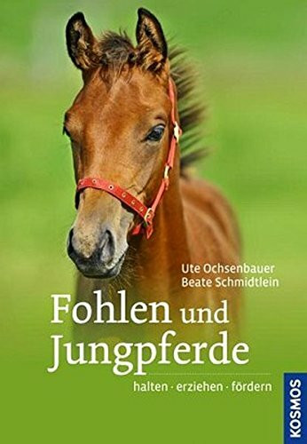 Fohlen und Jungpferde: halten, erziehen, fördern