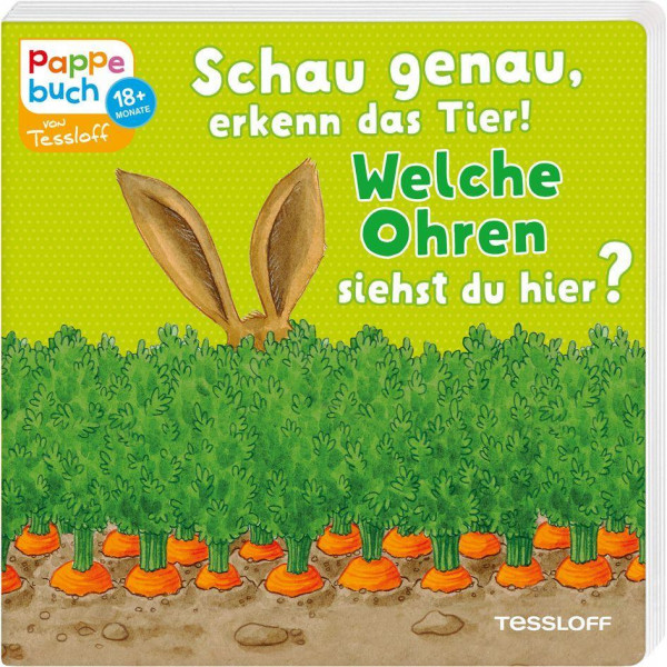 Schau genau, erkenn das Tier! Welche Ohren siehst du hier?