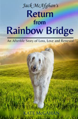 Jack McAfghan's Return from Rainbow Bridge (Jack McAfghan Pet Loss Series, Band 3)