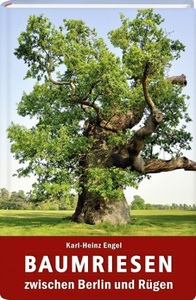 Baumriesen zwischen Berlin und Rügen