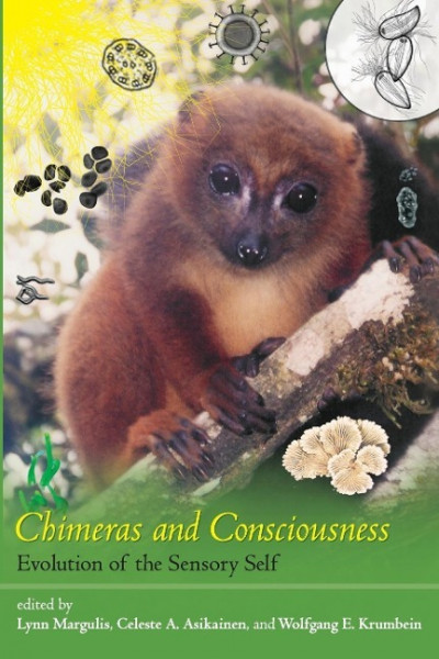 Chimeras and Consciousness