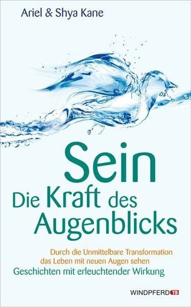 SEIN – Die Kraft des Augenblicks!: Unmittelbare Transformation das Leben mit neuen Augen sehen