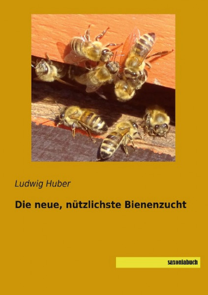 Die neue, nützlichste Bienenzucht