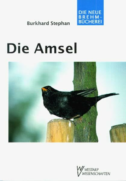 Die Amsel: Turdus merula