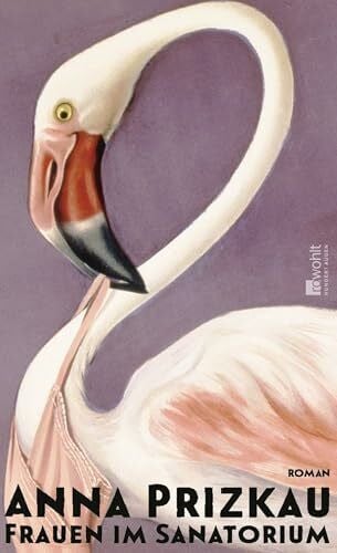 Frauen im Sanatorium: Roman | «Drei Frauen, die zusammenhalten und einander aufrichten. Ganz frisch und ohne Kopf-hoch-Kitsch.» Die Zeit