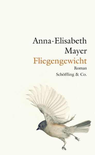 Fliegengewicht: Roman