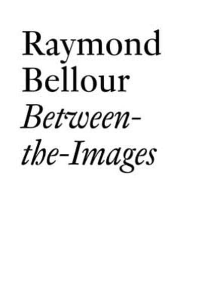 Raymond Bellour: Between-the-Images (Documents)