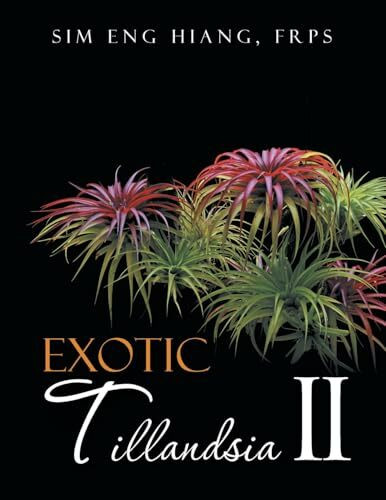 Exotic Tillandsia II