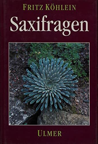 Saxifragen und andere Steinbrechgewächse